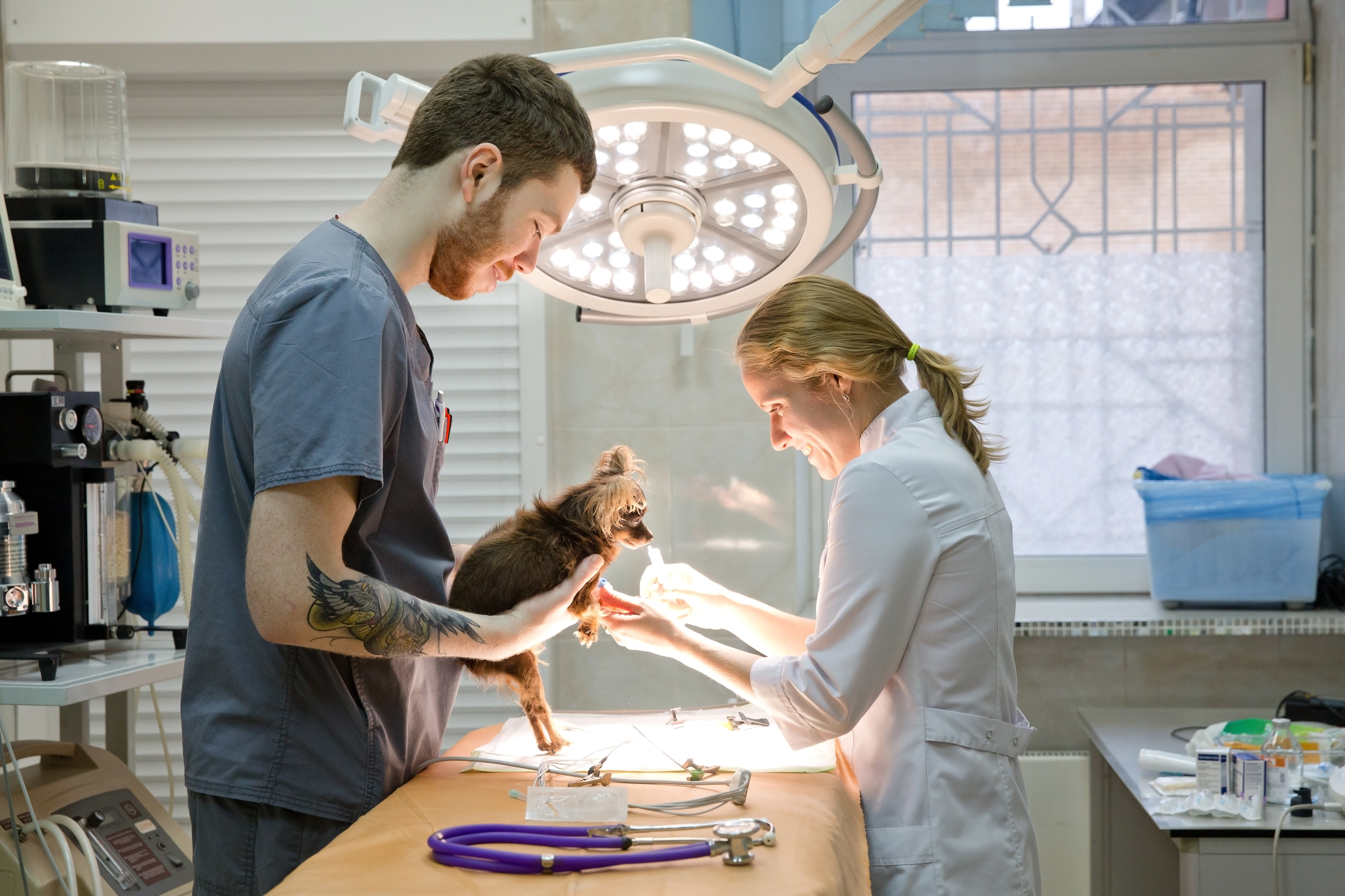 2026 Veterinary Market Survey Results