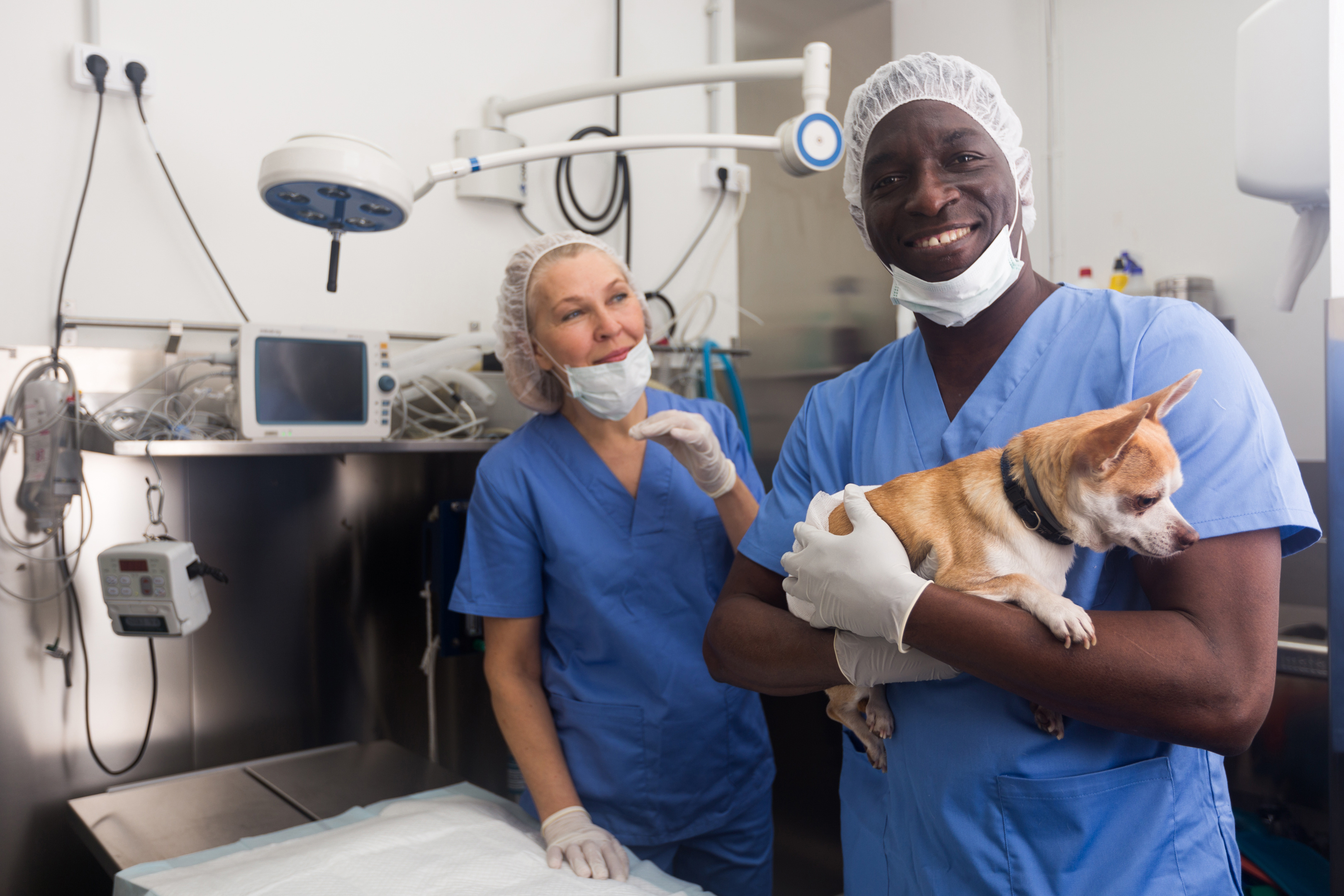 How to Influence Practice Managers, Veterinarians, Technicians, and CSRs