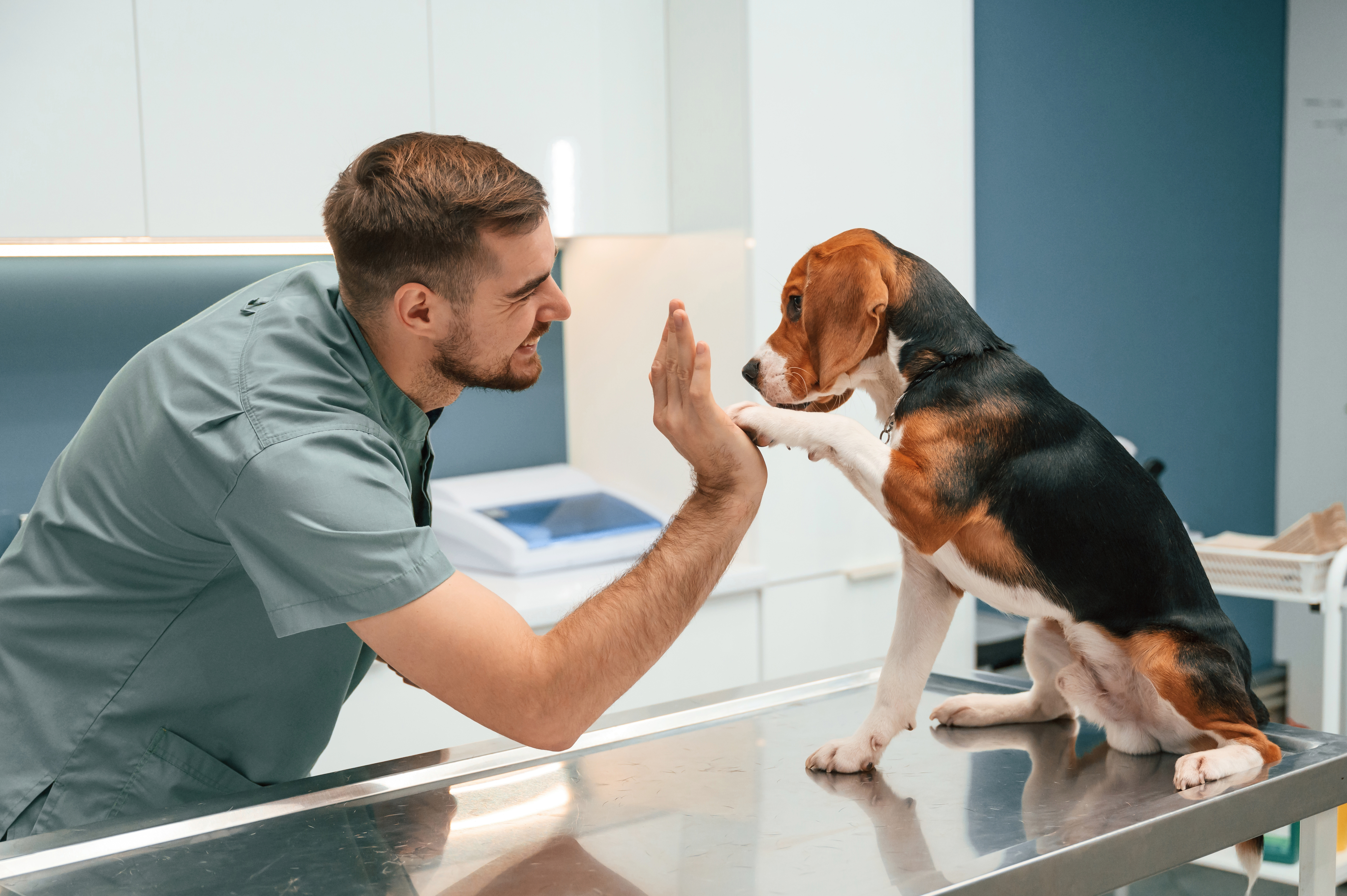 Use testimonials to build trust and accelerate sales